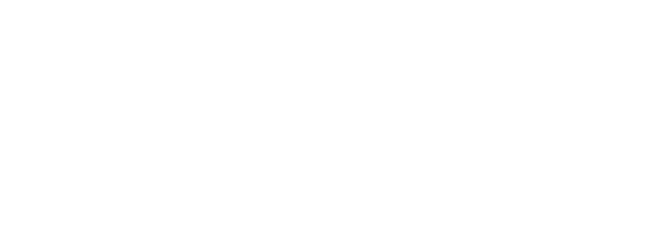 portalSeis